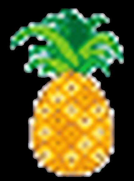 Meet your Posher, Itzel - Picture 1 of 1